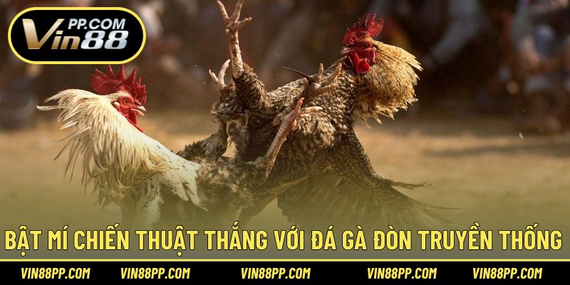 Bí quyết thắng lớn khi cược đá gà đòn ấn tượng