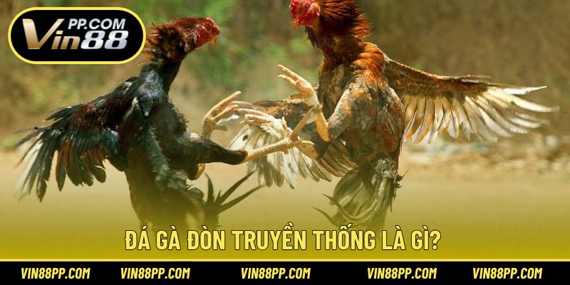 Giải thích khái niệm giới thiệu bộ môn đá gà đòn truyền thống