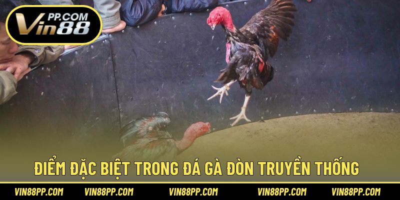 Điểm nổi bật trong trải nghiệm cược đá gà đòn tại Vin88