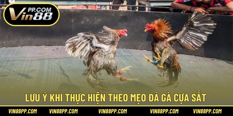 Lưu ý để triển khai mẹo chơi hiệu quả trong gà cựa sắt