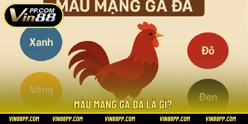 Giải thích khái niệm quen thuộc về màu mạng gà đá