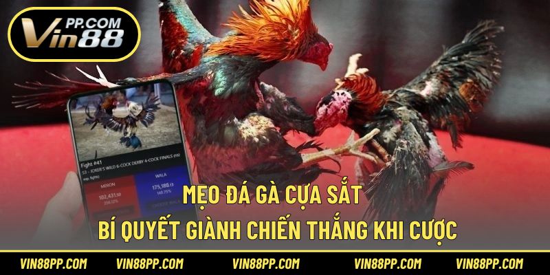 Mẹo đá gà cựa sắt