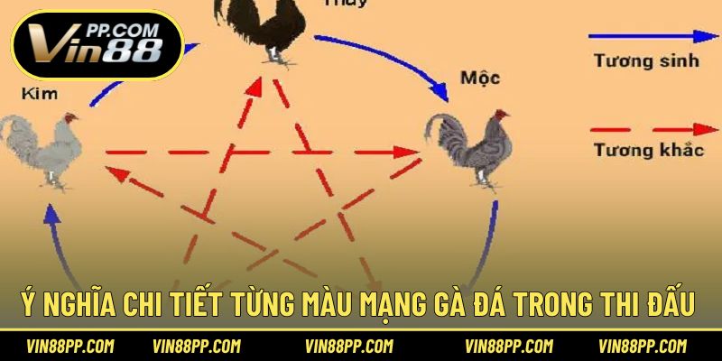 Ý nghĩa chi tiết màu mạng trong thi đấu đá gà