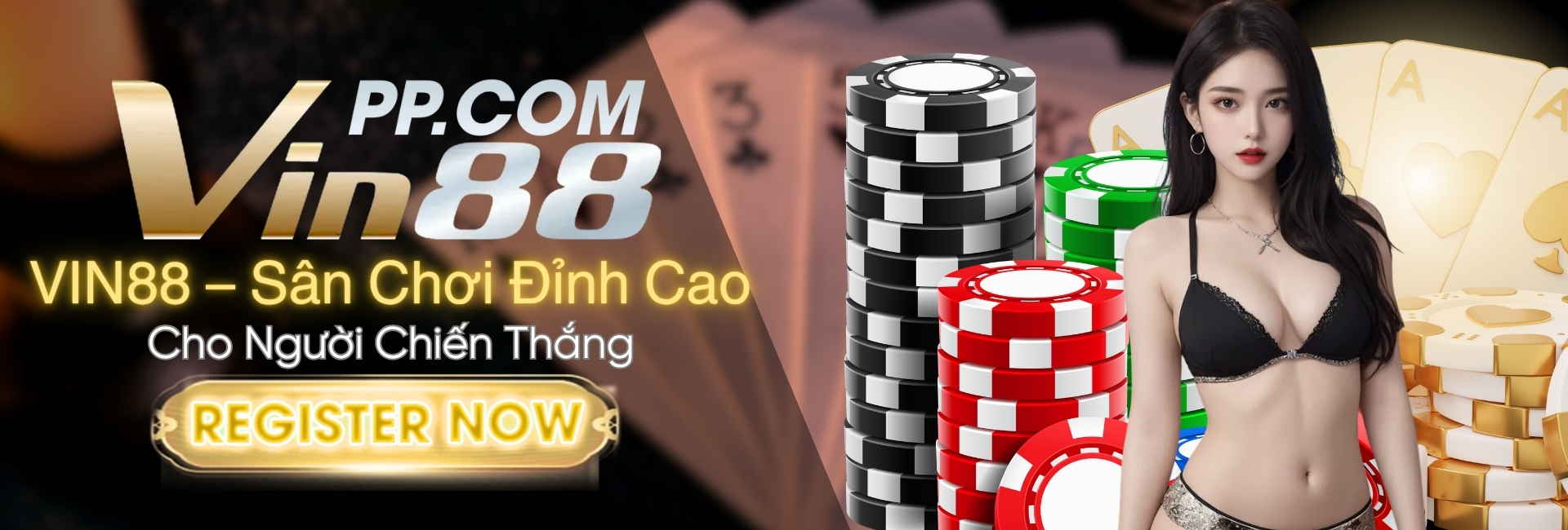 banner nhà cái vin88